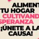 prevención del cáncer de mama