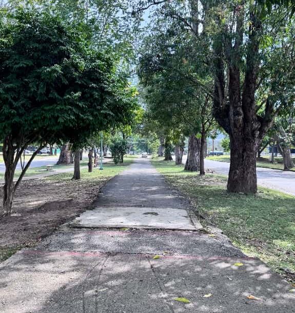 Alcaldía de San Diego inicia rehabilitación de caminerías- Agencia Carabobeña de Noticias