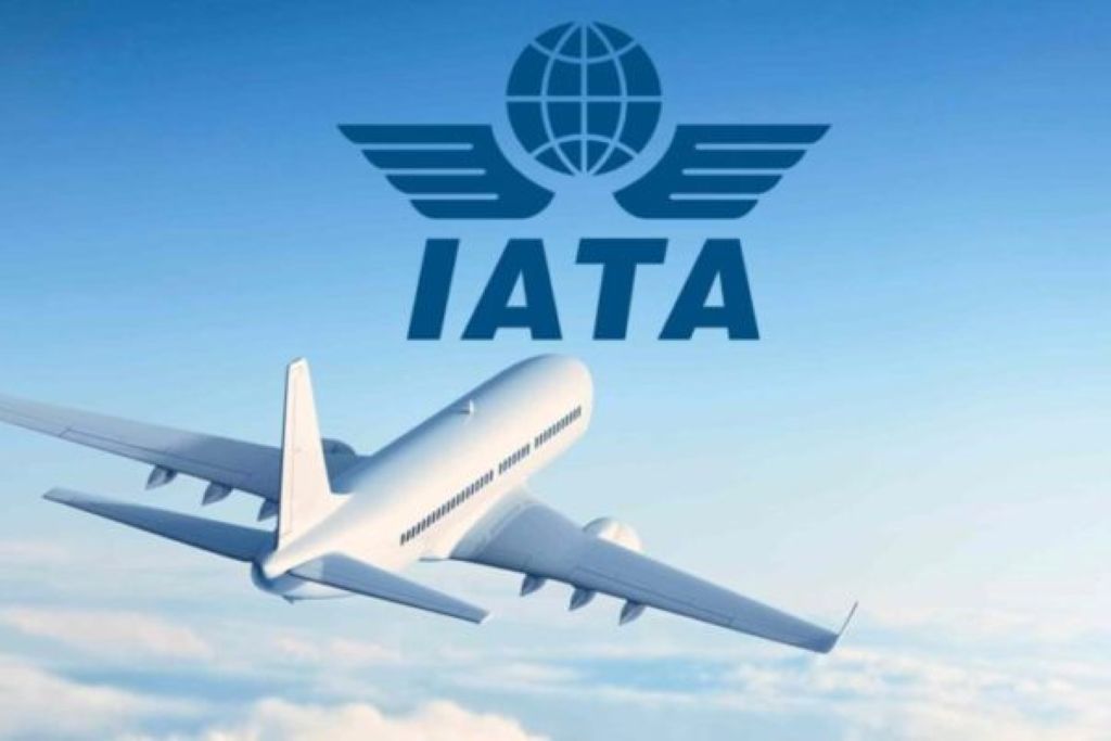 IATA pide mayor claridad - Agencia Carabobeña de Noticias