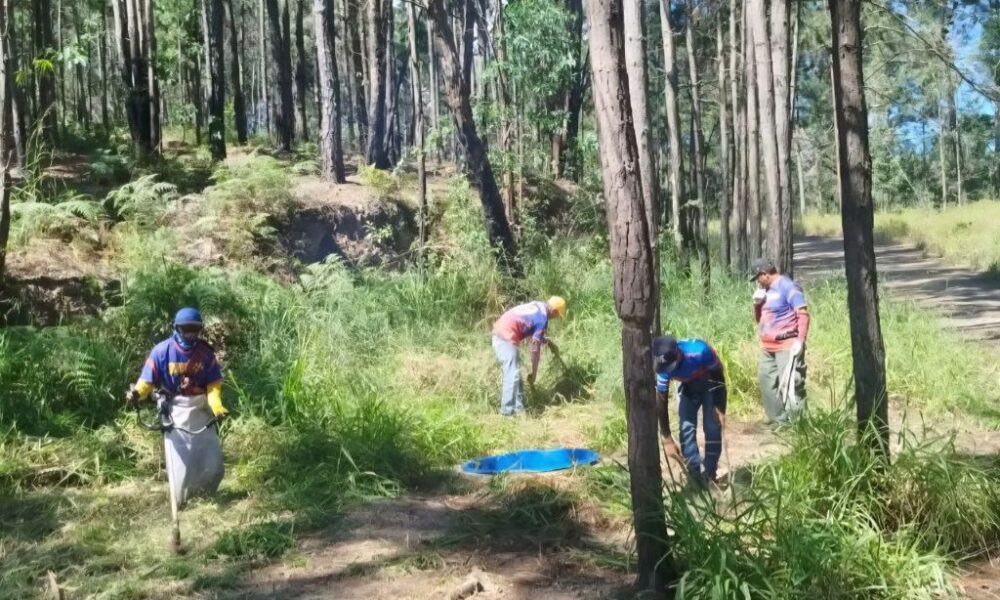 Inspección preventiva contra incendios en Cerro El Café - Agencia Carabobeña de Noticias