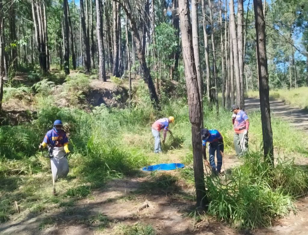 Inspección preventiva contra incendios en Cerro El Café - Agencia Carabobeña de Noticias