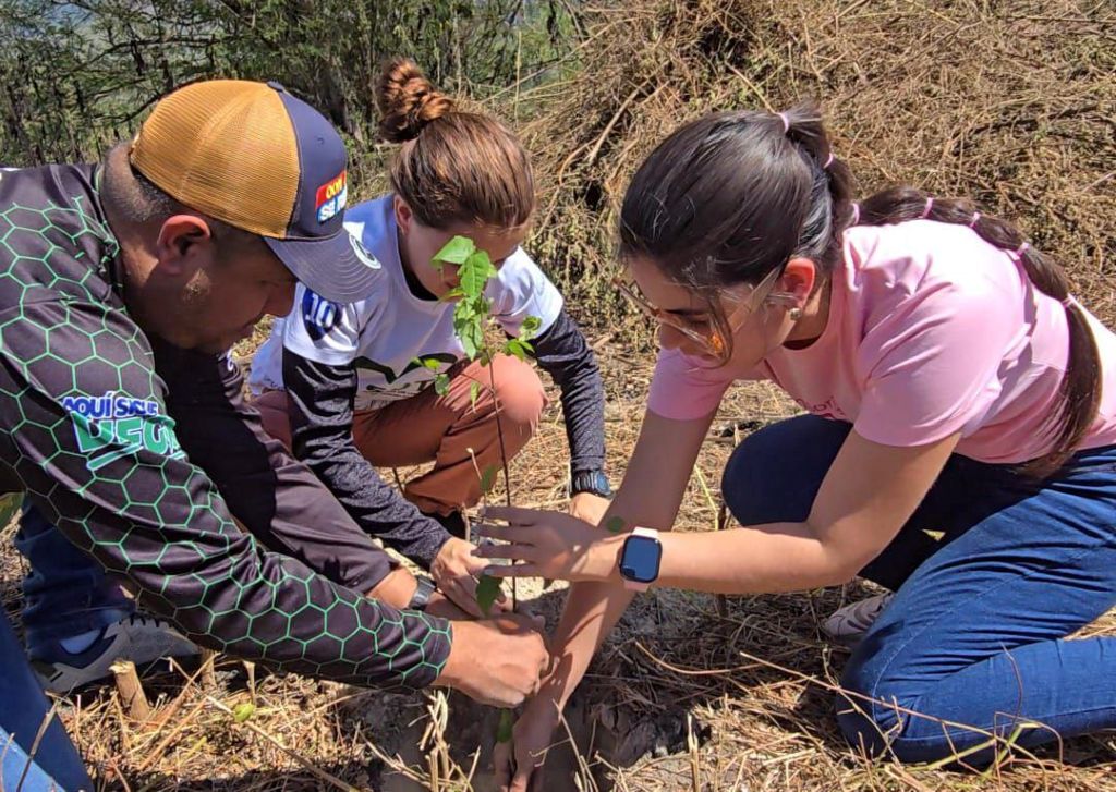 Más de 2 mil árboles sembrados en Parque Nacional Henri Pittier - Agencia Carabobeña de Noticias