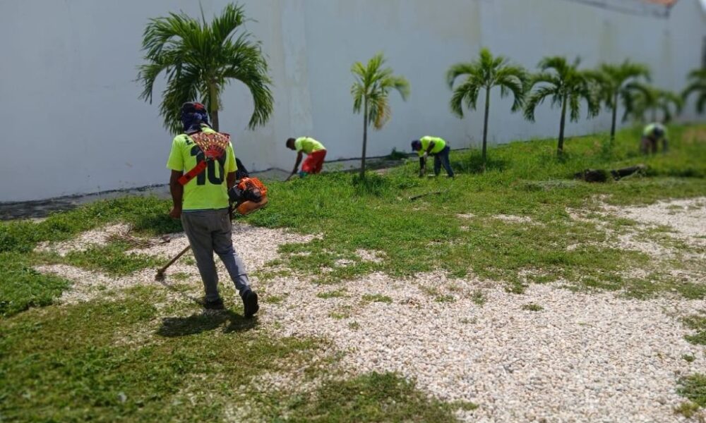 Realizan desmalezado en diferentes zonas - Agencia Carabobeña de Noticias