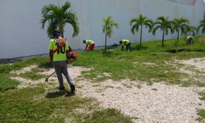 Realizan desmalezado en diferentes zonas - Agencia Carabobeña de Noticias