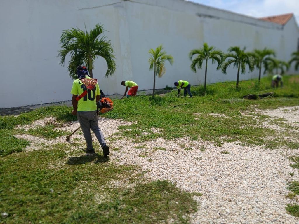 Realizan desmalezado en diferentes zonas - Agencia Carabobeña de Noticias