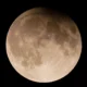 Luna de Castor - Agencia Carabobeña de Noticias