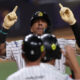 Caracas frenó a Magallanes - Agencia Carabobeña de Noticias