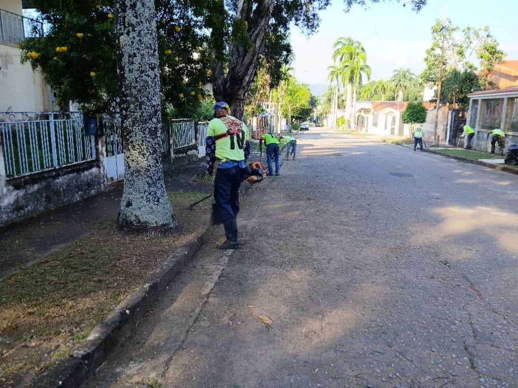 Gobierno de Carabobo realizó jornada de pico y poda - Agencia Carabobeña de Noticias