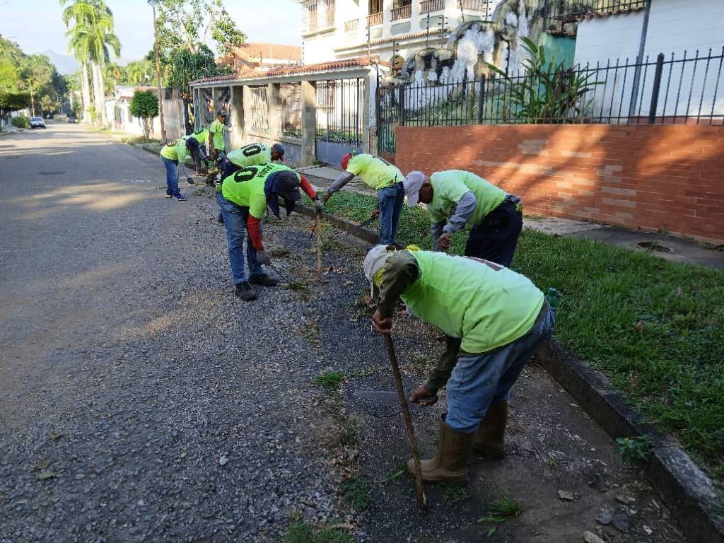 Gobierno de Carabobo realizó jornada de pico y poda - Agencia Carabobeña de Noticias