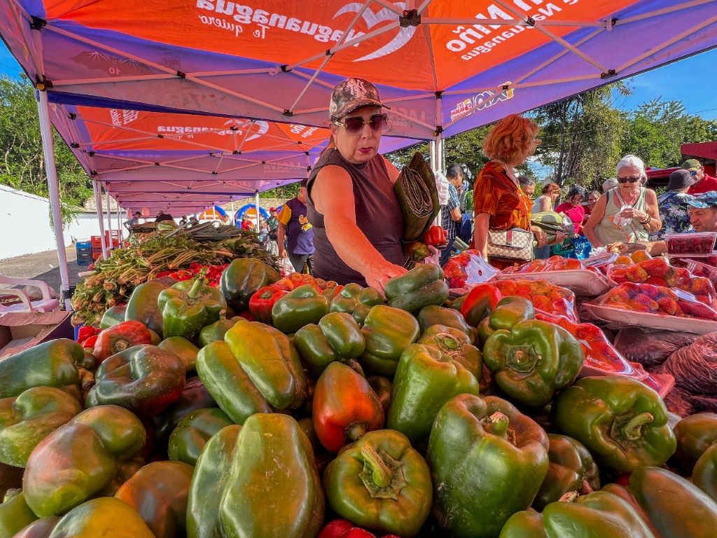 Gran Feria Navideña realizó Alcaldía de Naguanagua - Agencia Carabobeña de Noticias