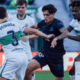 Juan Arango Jr. debutó en la Liga - Agencia Carabobeña de Noticias