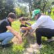 Jornada de Reforestación y Senderismo - Agencia Carabobeña de Noticias