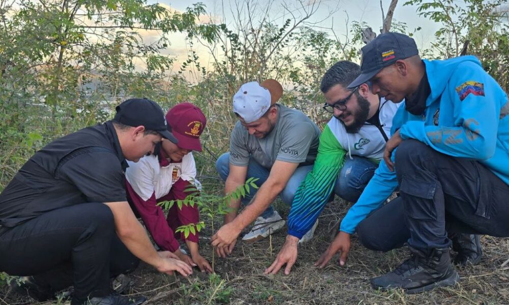 Jornada de reforestación y senderismo en los Morros de San Blas - Agencia Carabobeña de Noticias