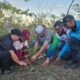 Jornada de reforestación y senderismo en los Morros de San Blas - Agencia Carabobeña de Noticias