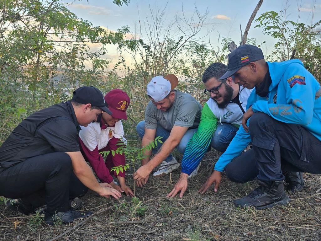 Jornada de reforestación y senderismo en los Morros de San Blas - Agencia Carabobeña de Noticias