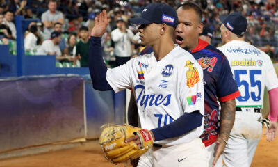 Tigres de Aragua Bravos