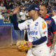 Tigres de Aragua Bravos