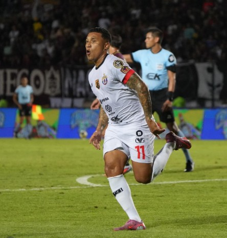 UCV campeón 2025 - Agencia Carabobeña de Noticias