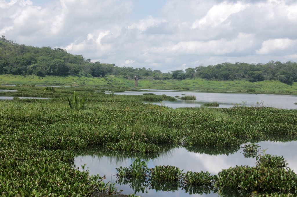 recuperación definitiva del Dique de Guataparo - Agencia Carabobeña de Noticias