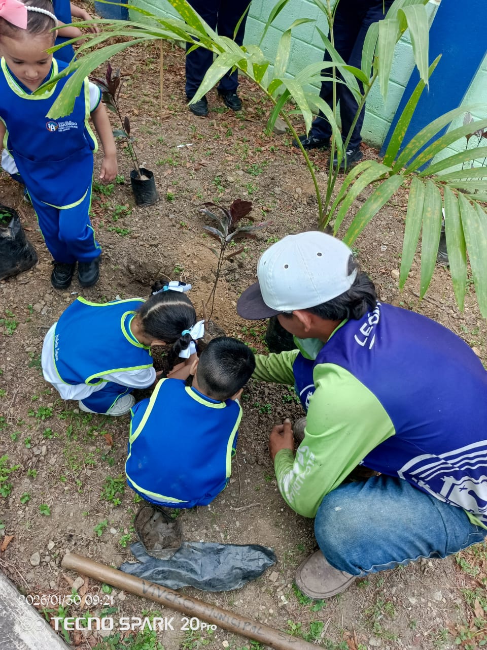 Iamfumcosandi realizó jornada de arborización - Agencia Carabobeña de Noticias