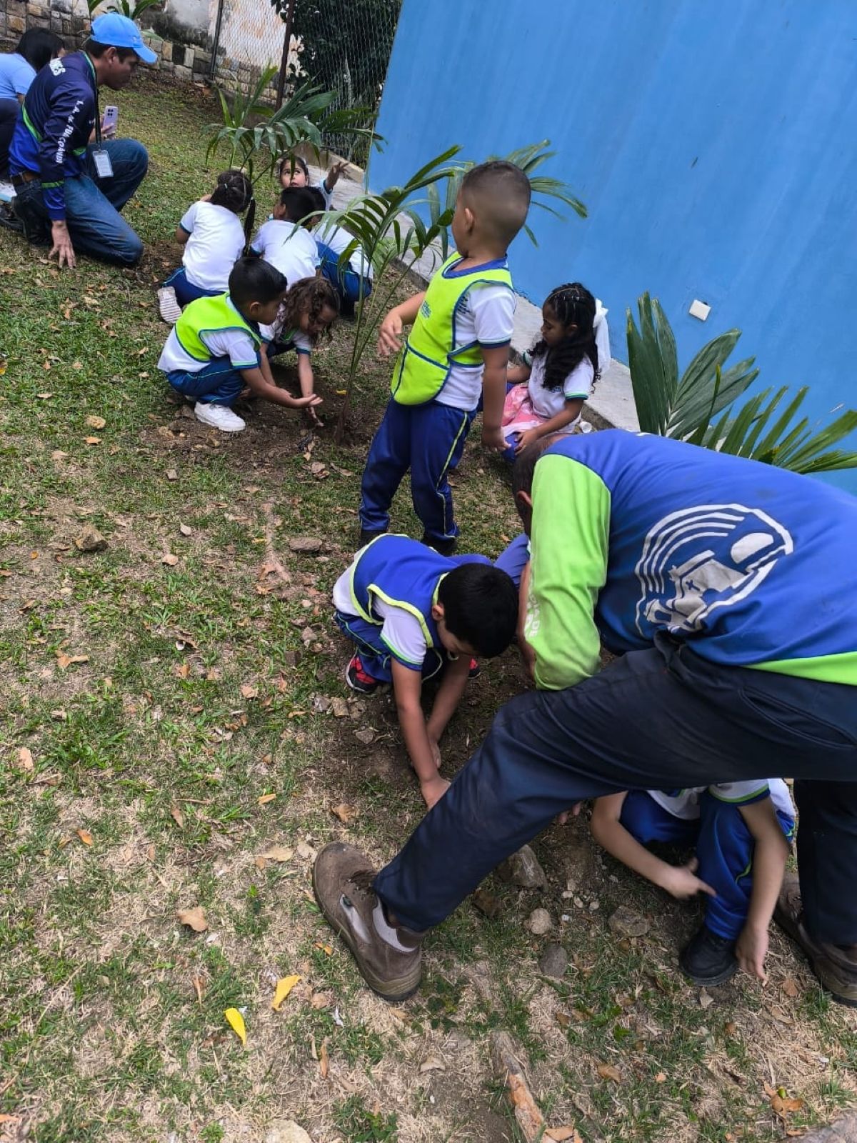 Iamfumcosandi realizó jornada de arborización - Agencia Carabobeña de Noticias