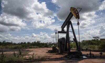 Ingresan 300 millones de dólares - Agencia Carabobeña de Noticias