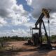 Ingresan 300 millones de dólares - Agencia Carabobeña de Noticias