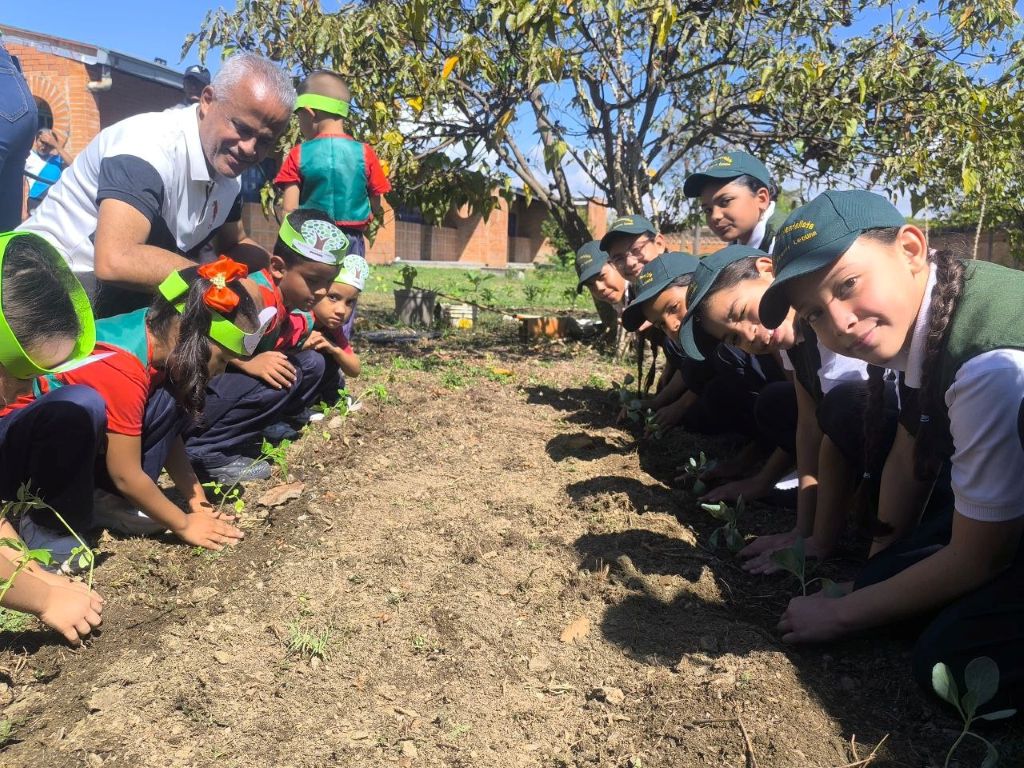 Más de mil plantas sembradas durante jornadas ecosocialistas - Agencia Carabobeña de Noticias