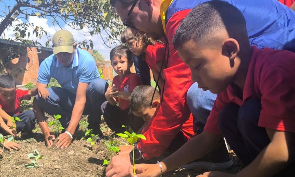 Más de mil plantas sembradas durante jornadas ecosocialistas - Agencia Carabobeña de Noticias