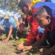 Más de mil plantas sembradas durante jornadas ecosocialistas - Agencia Carabobeña de Noticias