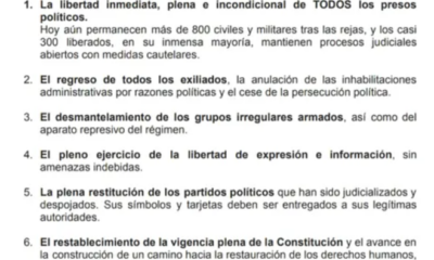 Plataforma Unitaria Ley de Amnistía