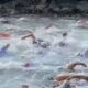Primer Acuatlón Sprint - Agencia Carabobeña de Noticias