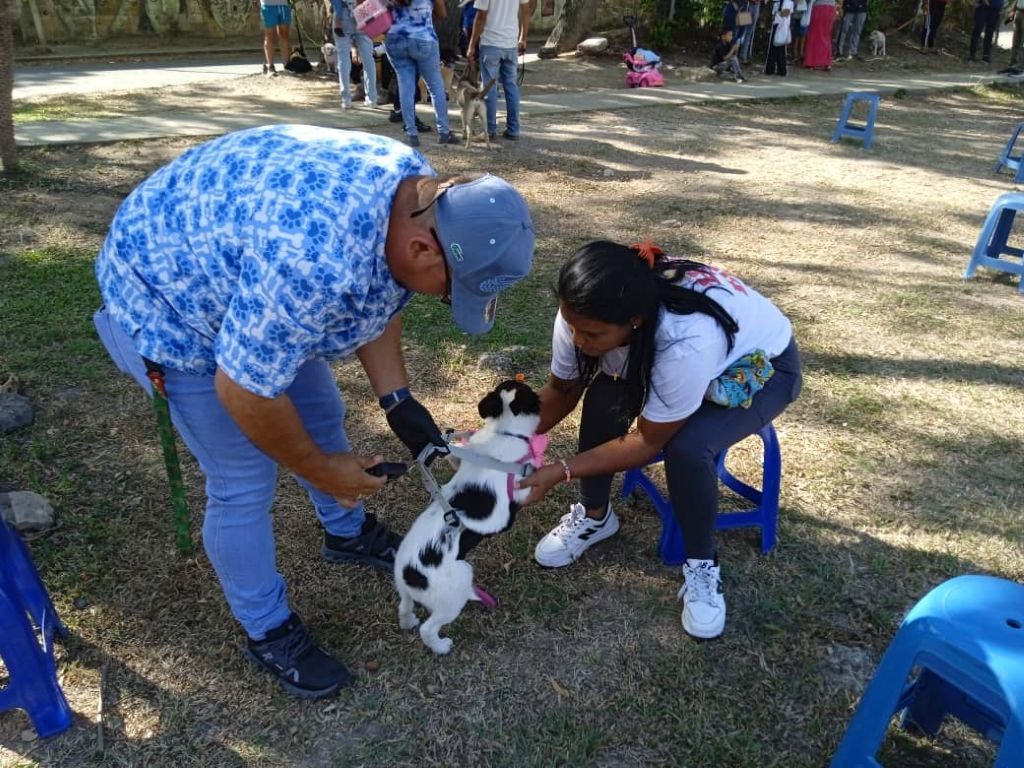 Atendidas más de 100 mascotas en La Cumaca - Agencia Carabobeña de Noticias