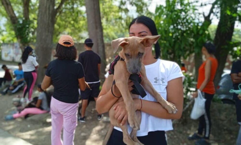 Atendidas más de 100 mascotas en La Cumaca - Agencia Carabobeña de Noticias