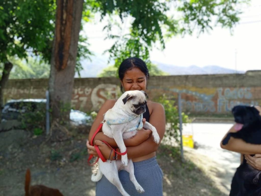 Atendidas más de 100 mascotas en La Cumaca - Agencia Carabobeña de Noticias