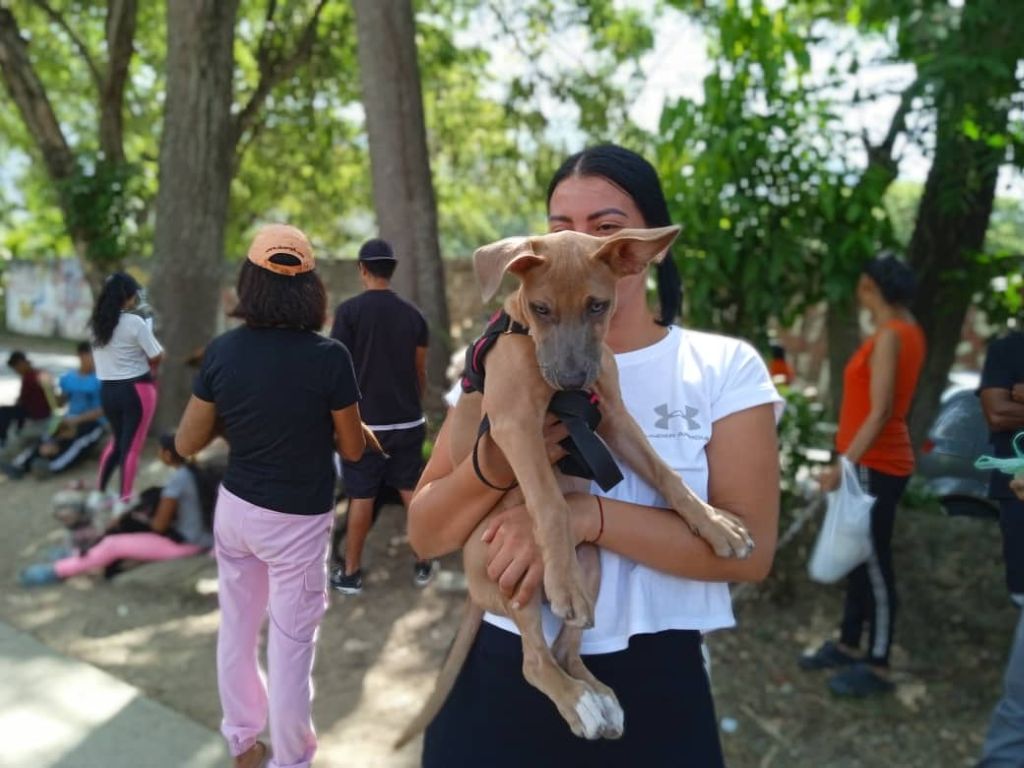 Atendidas más de 100 mascotas en La Cumaca - Agencia Carabobeña de Noticias