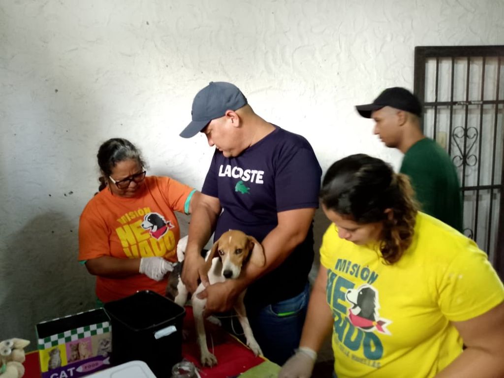 Comenzó campaña de vacunación Séxtuple canina en Bejuma - Agencia Carabobeña de Noticias