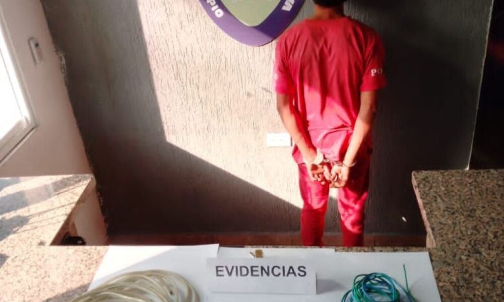 Detenido por hurtar material estratégico - Agencia Carabobeña de Noticias