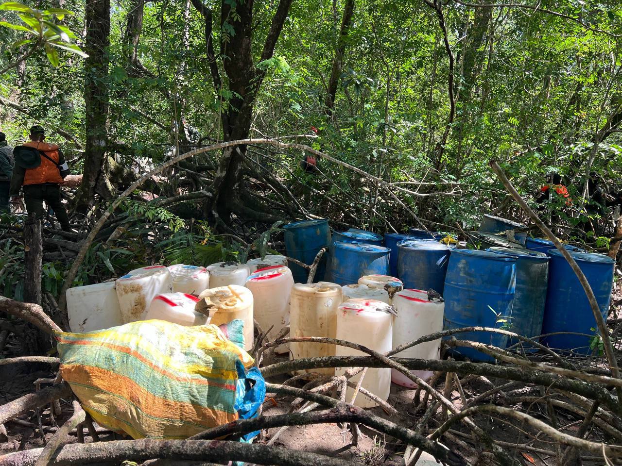 FANB destruye campamento de narcotráfico - Agencia Carabobeña de Noticias