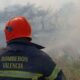 Incendio en recicladora - Agencia Carabobeña de Noticias