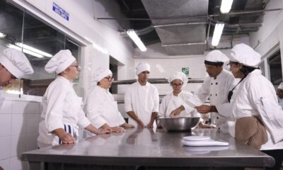 Inces planes de formación