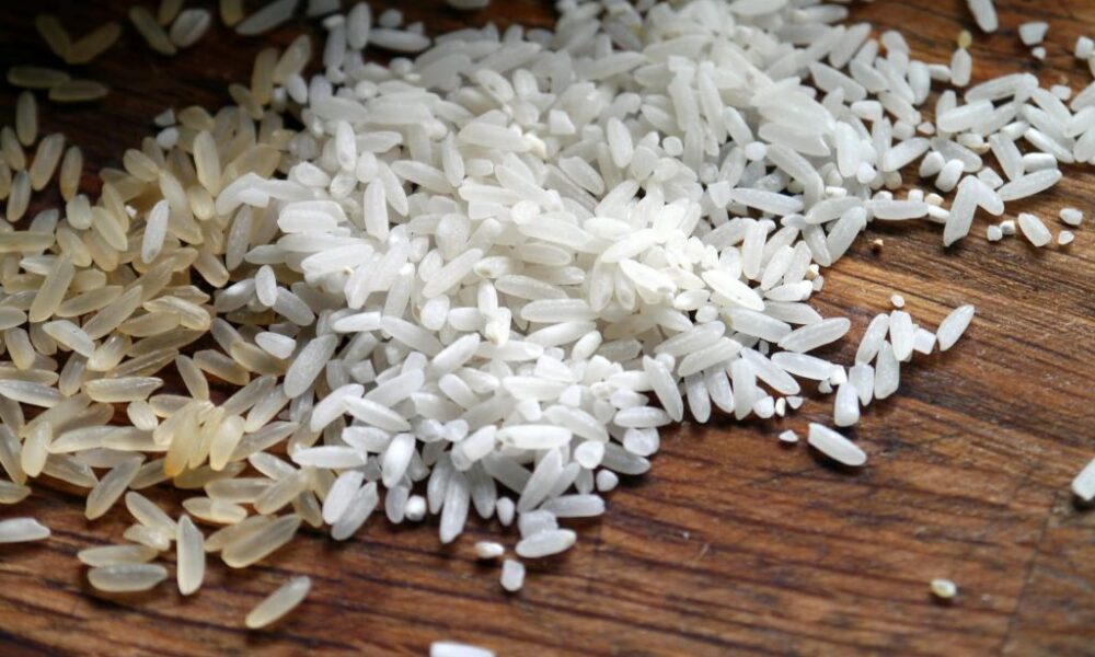 Precio base al arroz - Agencia Carabobeña de Noticias