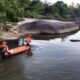 Tragedia en río Amazonas - Agencia Carabobeña de Noticias