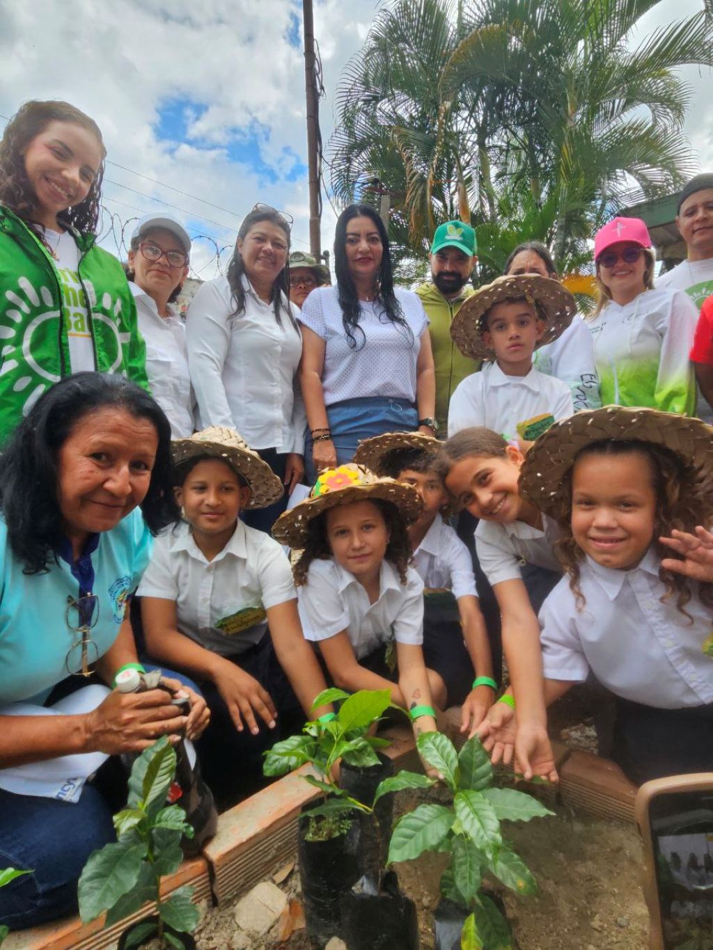 más de 300 plántulas de café y cacao sembradas - Agencia Carabobeña de Noticias