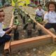 más de 300 plántulas de café y cacao sembradas - Agencia Carabobeña de Noticias