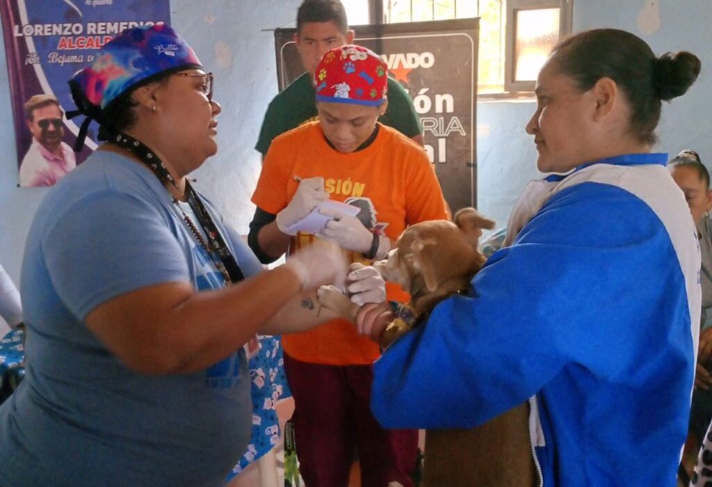 4683 atenciones en Jornadas Sociales Ofensiva de Paz - Agencia Carabobeña de Noticias