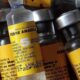 Alerta por fiebre amarilla- Agencia Carabobeña de Noticias