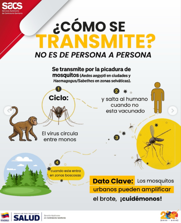 Alerta por fiebre amarilla- Agencia Carabobeña de Noticias