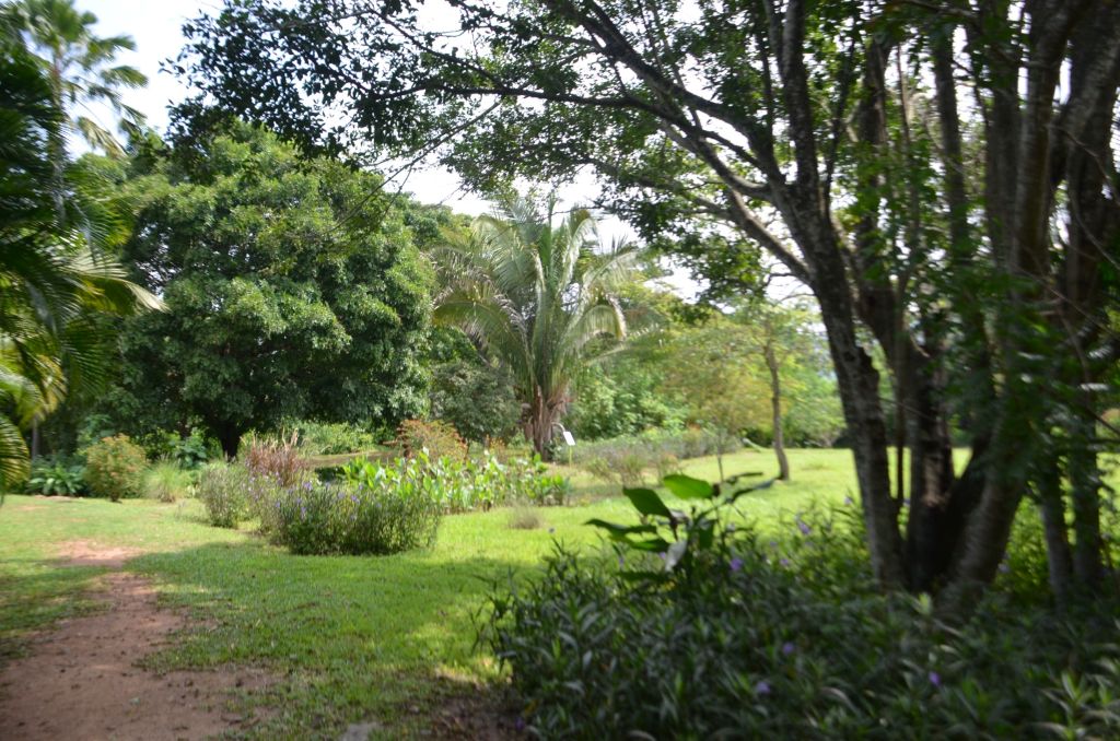 Jardín Botánico de Naguanagua - Agencia Carabobeña de Noticias