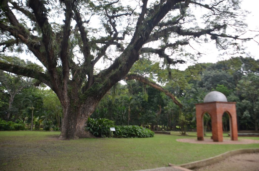 Jardín Botánico de Naguanagua - Agencia Carabobeña de Noticias